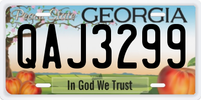 GA license plate QAJ3299