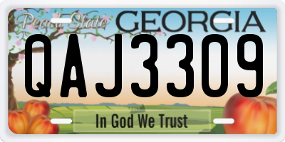 GA license plate QAJ3309