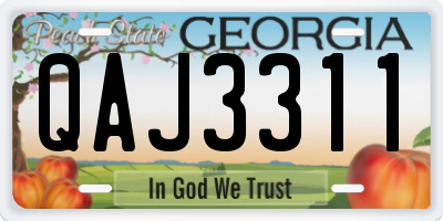 GA license plate QAJ3311