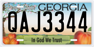 GA license plate QAJ3344