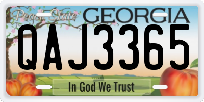 GA license plate QAJ3365