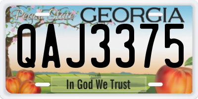 GA license plate QAJ3375