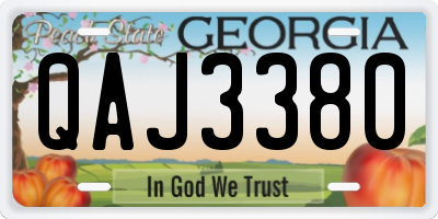 GA license plate QAJ3380