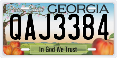 GA license plate QAJ3384