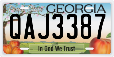 GA license plate QAJ3387