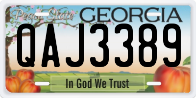 GA license plate QAJ3389