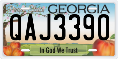 GA license plate QAJ3390