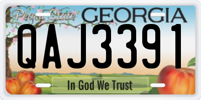 GA license plate QAJ3391