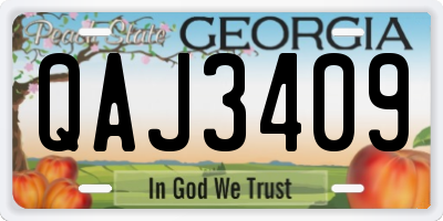 GA license plate QAJ3409