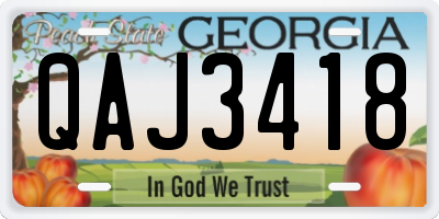 GA license plate QAJ3418