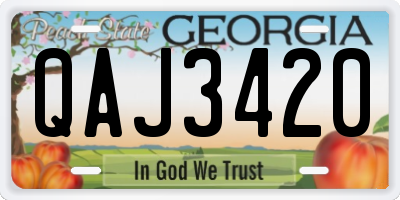 GA license plate QAJ3420