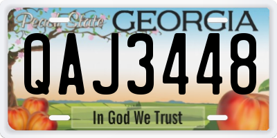 GA license plate QAJ3448