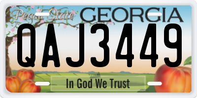GA license plate QAJ3449