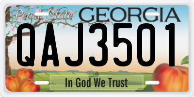 GA license plate QAJ3501