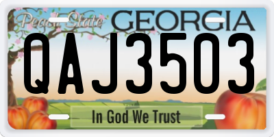 GA license plate QAJ3503