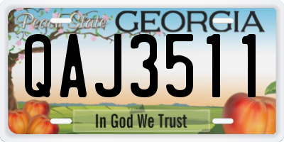 GA license plate QAJ3511