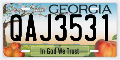 GA license plate QAJ3531