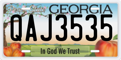 GA license plate QAJ3535