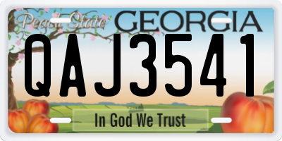 GA license plate QAJ3541