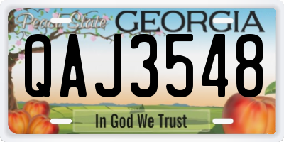 GA license plate QAJ3548
