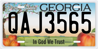 GA license plate QAJ3565
