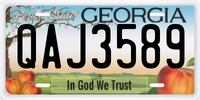GA license plate QAJ3589