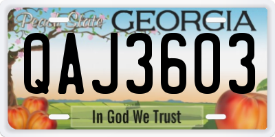 GA license plate QAJ3603