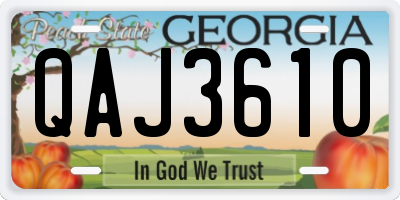 GA license plate QAJ3610