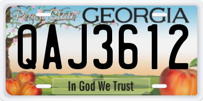 GA license plate QAJ3612