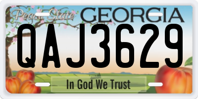 GA license plate QAJ3629