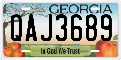 GA license plate QAJ3689
