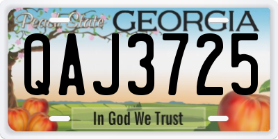 GA license plate QAJ3725