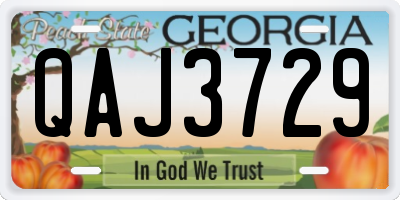 GA license plate QAJ3729