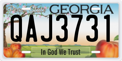 GA license plate QAJ3731