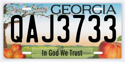 GA license plate QAJ3733