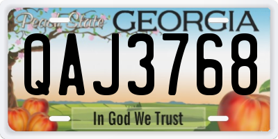 GA license plate QAJ3768