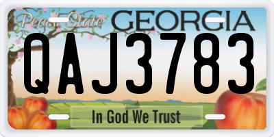 GA license plate QAJ3783
