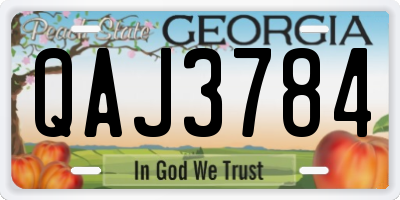 GA license plate QAJ3784
