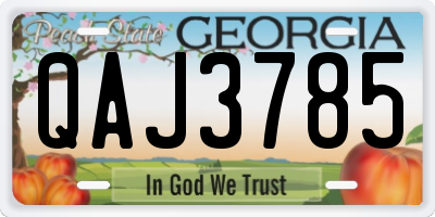 GA license plate QAJ3785