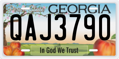 GA license plate QAJ3790