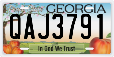 GA license plate QAJ3791