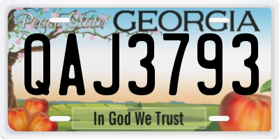 GA license plate QAJ3793