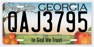 GA license plate QAJ3795