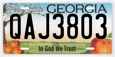 GA license plate QAJ3803