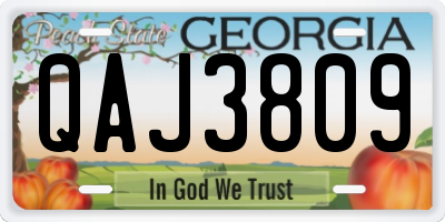 GA license plate QAJ3809