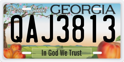 GA license plate QAJ3813