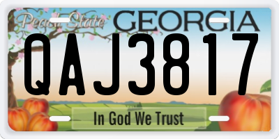 GA license plate QAJ3817