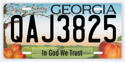 GA license plate QAJ3825