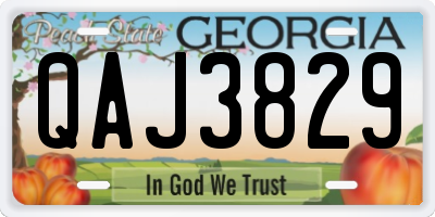 GA license plate QAJ3829