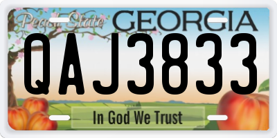 GA license plate QAJ3833